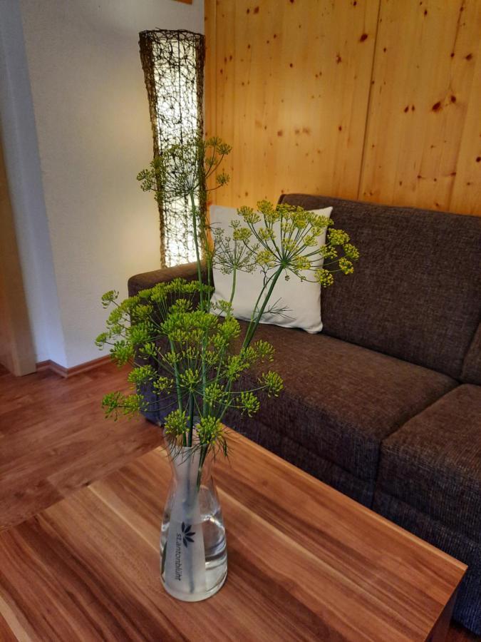 Haus Untergand Apartamento Sankt Anton am Arlberg Exterior foto